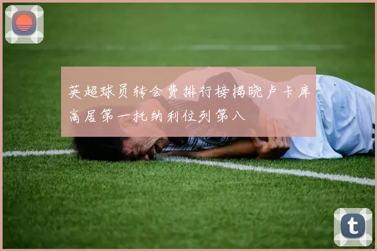 英超球员转会费排行榜揭晓卢卡库高居第一托纳利位列第八